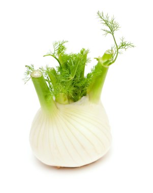 Fennel clipart