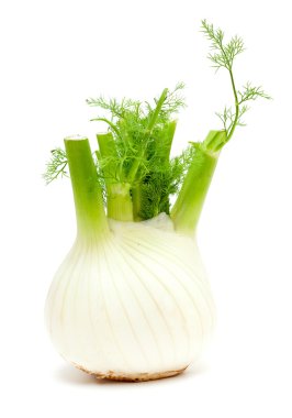 Fennel clipart