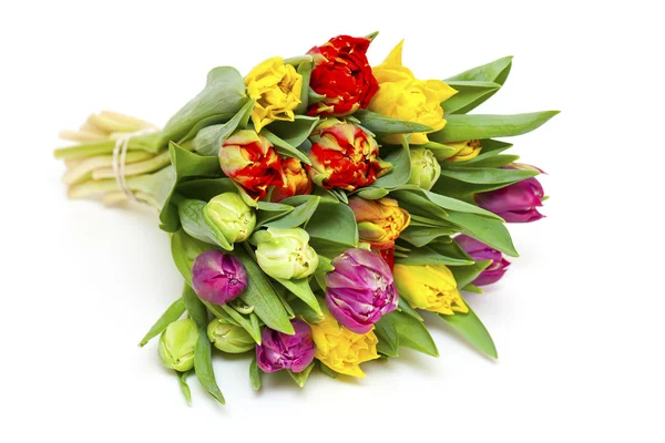 Piękny bukiet świeżych i kolorowe tulipany — Zdjęcie stockowe