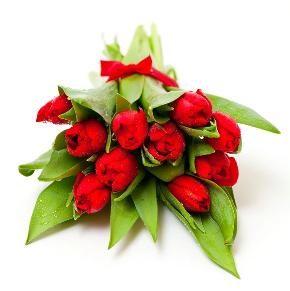 Tulipes rouges attachées avec un ruban rouge — Photo