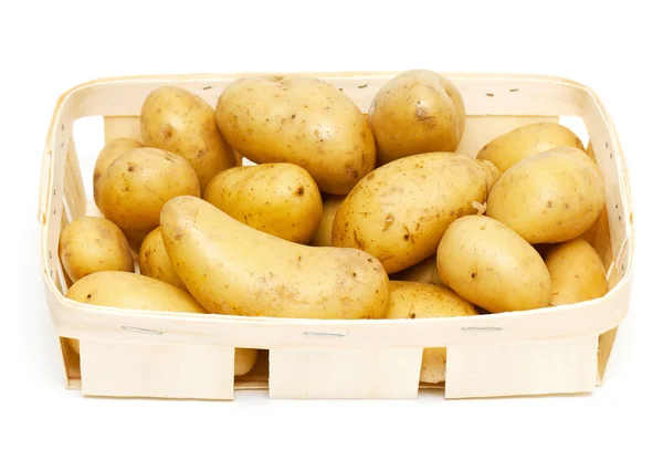 Młode ziemniaki — Zdjęcie stockowe