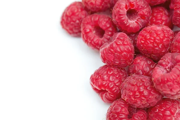 Raspberries and empty space for your text — Stock fotografie