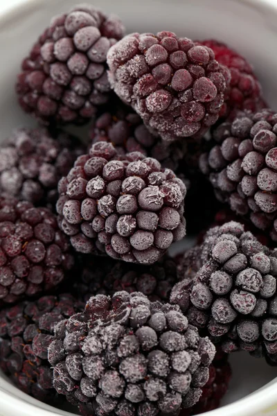 冷冻的黑莓 — 图库照片