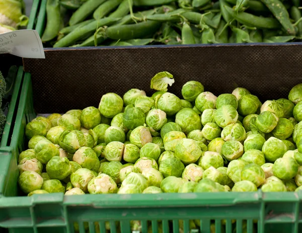 Choux de Bruxelles frais dans une boîte au marchand de légumes sur le marché — Photo