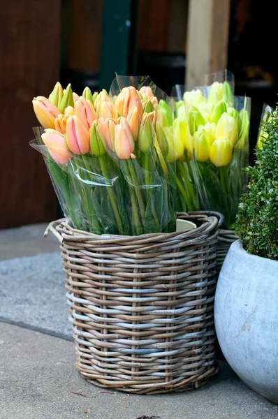 Tulipán en cesta en floristería — Foto de Stock