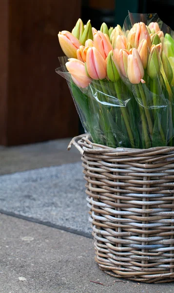Тюльпан в кошику в квітковому магазині — стокове фото