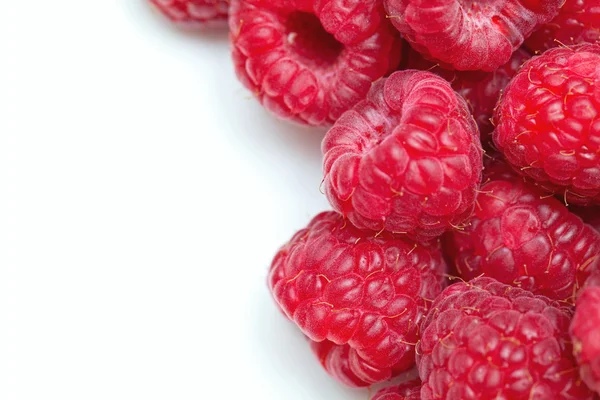 Raspberries and empty space for your text — Stockfoto