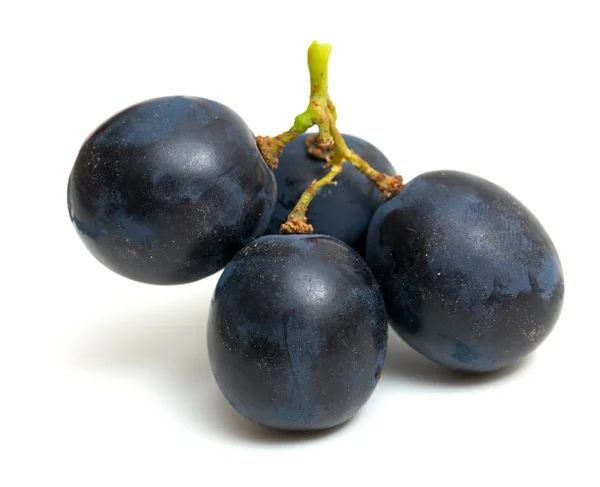 Mavi üzüm — Stok fotoğraf