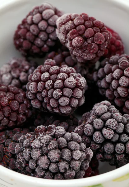 冷冻的黑莓 — 图库照片