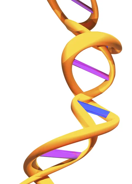 Bundel van DNA — Stockfoto