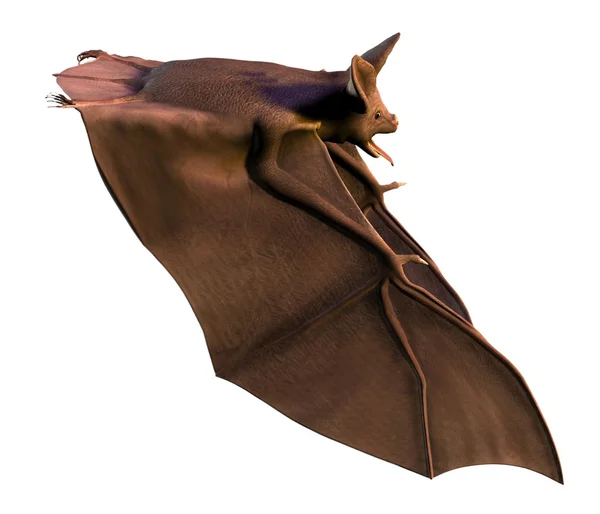 Ilustração digital de morcego — Fotografia de Stock