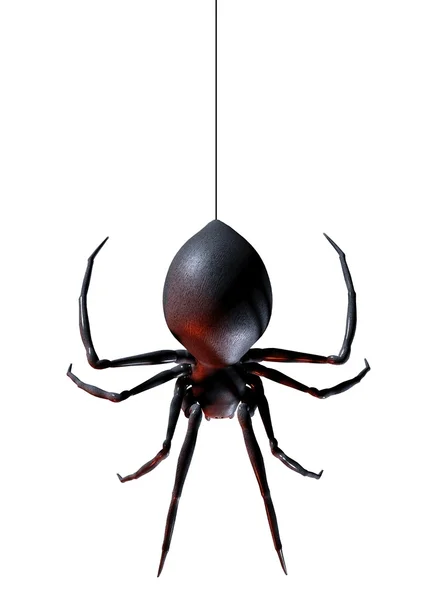 Spindel på tråd — Stockfoto
