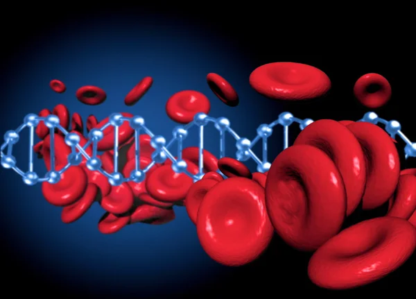 ДНК и эритроциты — стоковое фото