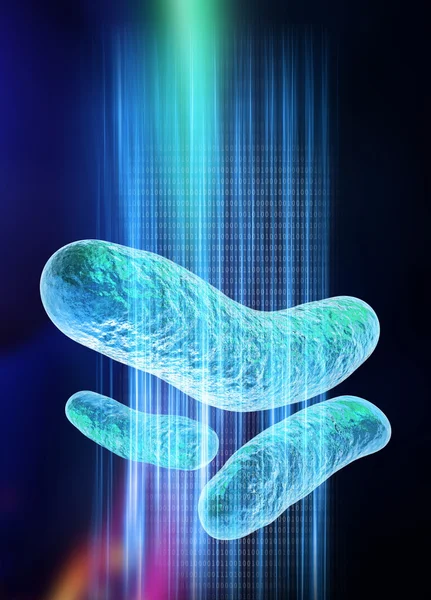 E-Coli бактерии как устройство хранения данных — стоковое фото