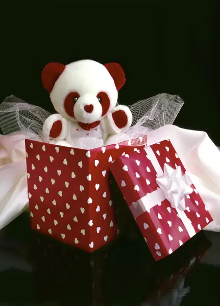 Soft teddy bear in box Stockfoto