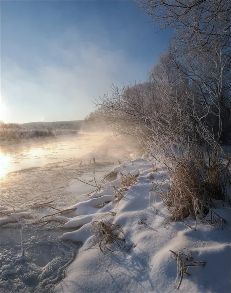 겨울 아침 — 스톡 사진