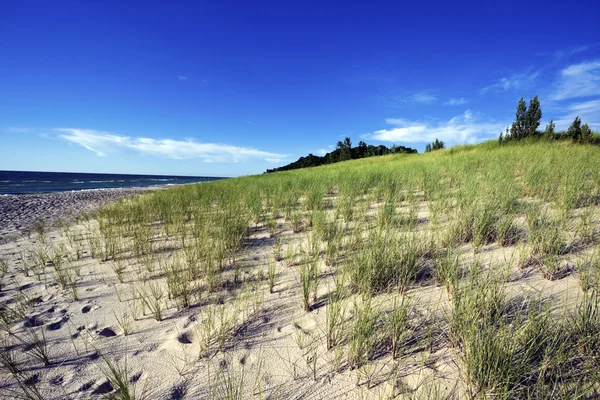 Dune di sabbia sulla riva del lago Michigan — Foto Stock