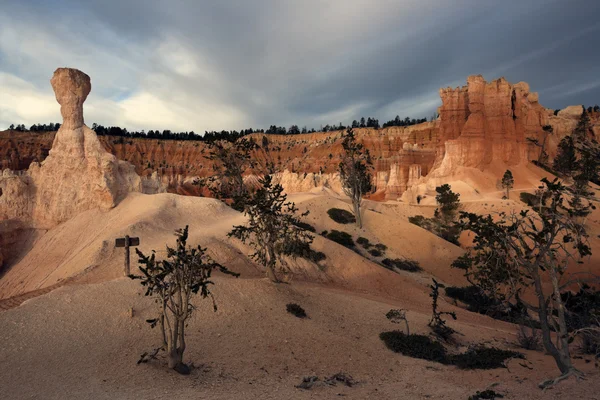 Formaciones rocosas en el Parque Nacional de Bryce —  Fotos de Stock