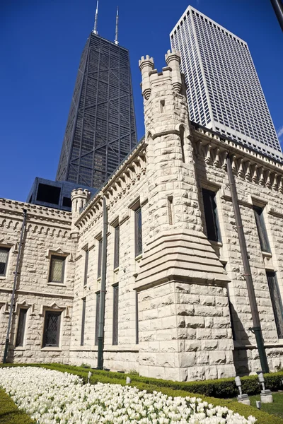Architettura di Chicago — Foto Stock