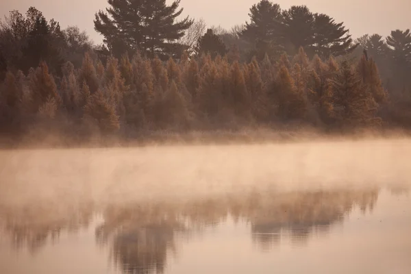 Πρωινό με ομίχλη στο wisconsin — Φωτογραφία Αρχείου