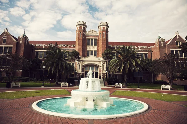 Университет штата Флорида — стоковое фото