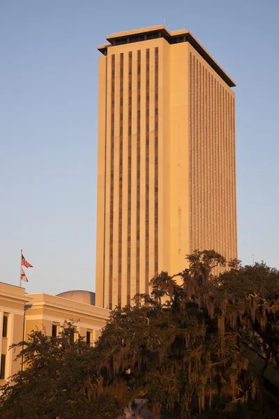 Здание Капитолия штата в Таллахасси — стоковое фото