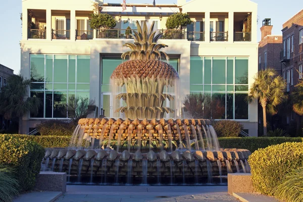 Fountain in Charleston — Stock Photo, Image