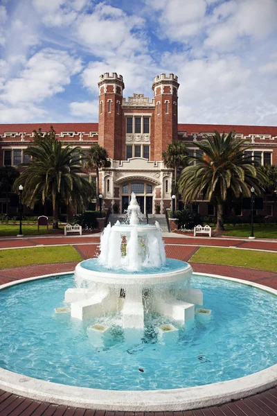 Florida státní univerzita — Stock fotografie