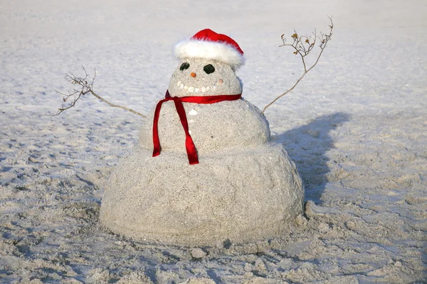 Stock image Chiristmas in Florida