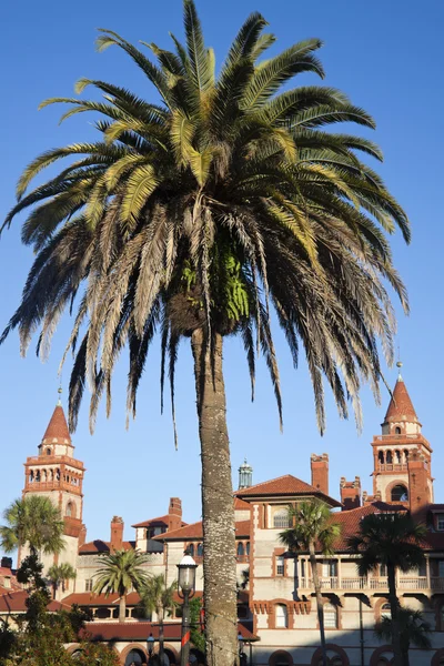 Palm framför flagler college — Stockfoto