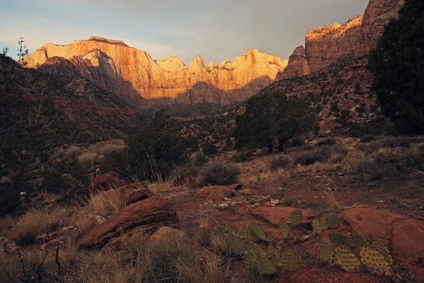 Sunset in Zion National Park — Stock Photo, Image