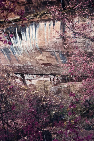 锡安国家公园的颜色 — 图库照片