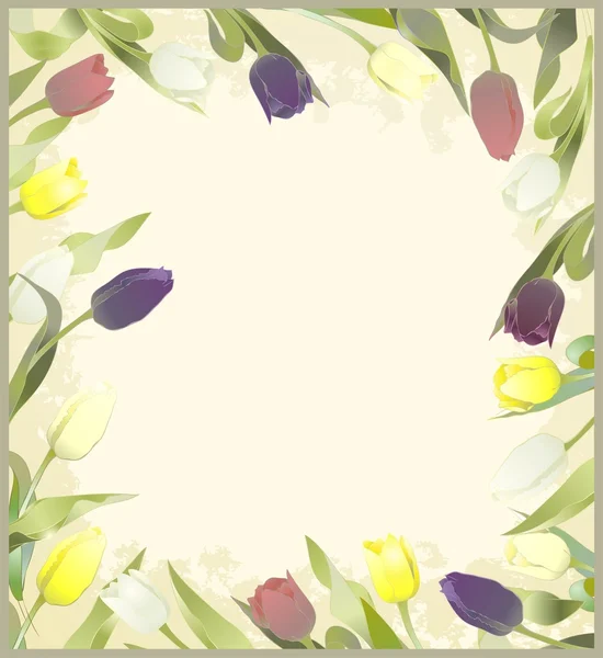 Tarjeta de felicitación con tulipanes. Coloridos tulipanes frescos de primavera . — Archivo Imágenes Vectoriales