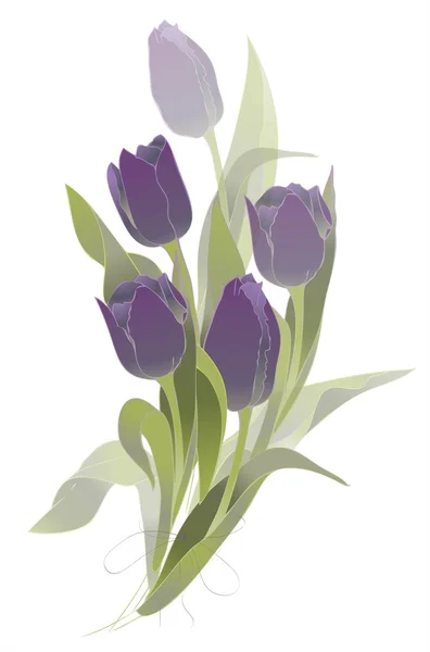 Tulpenstrauß. Knospen und Blüten einer Tulpe. Frühling Tulpenblütenstrauß. — Stockvektor