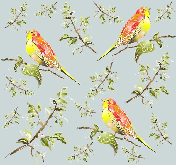 Sömlös bakgrund. illustration av fåglar. — Stock vektor