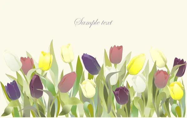 チューリップの花のボーダー。チューリップのグリーティング カード。カラフルな新鮮な春のチューリップ. — ストックベクタ