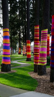 Colorful tree socks in Redmond clipart
