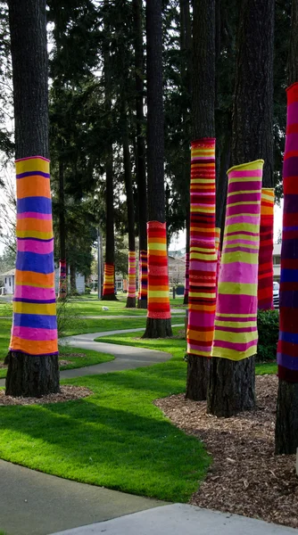 stock image Colorful tree socks in Redmond