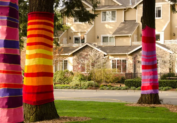 stock image Dressed up cedars new apartments in Redmond