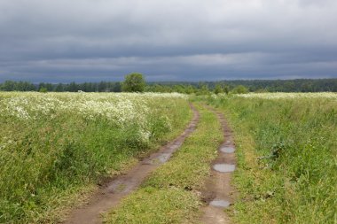 kırsal yol