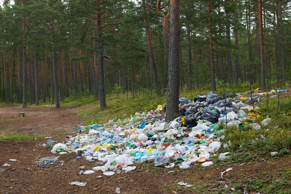 stock image Rubbish in the forest.