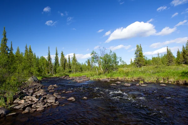 Floden i en vild plats — Stockfoto
