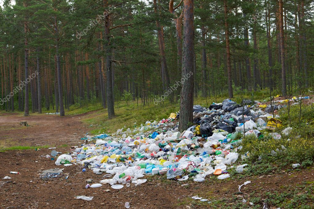 Rubbish in the forest. ⬇ Stock Photo, Image by © f4f_4joy 9617991