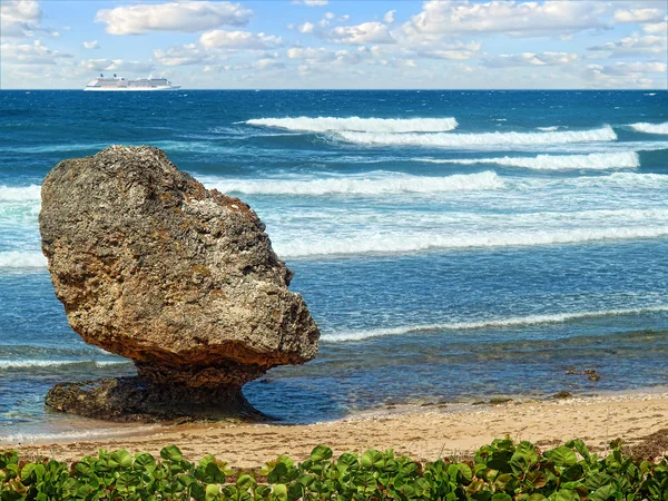 stock image Ocean coast