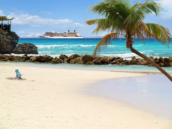 Spiaggia con palma — Foto Stock
