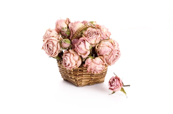 Rosas rosa secas — Fotografia de Stock