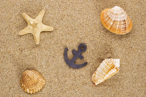Toylike anchor and seashells — Stock Photo, Image