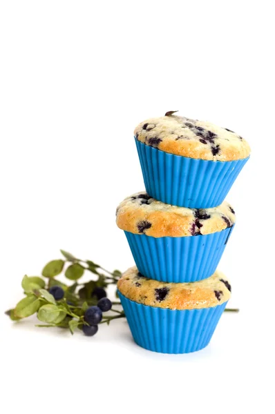 stock image Blueberry muffins