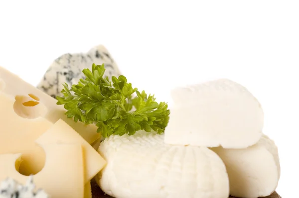 Vier soorten kaas — Stockfoto
