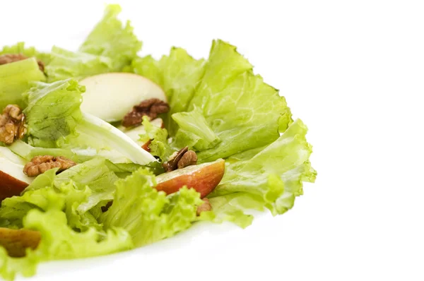 Свежий здоровый салат — стоковое фото
